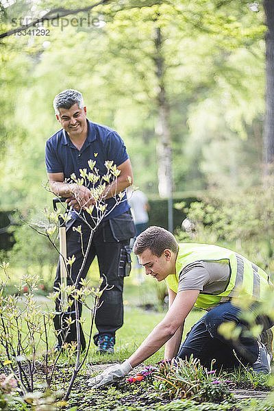 Ausbilder beobachtet Auszubildende bei der Pflanzung im Garten