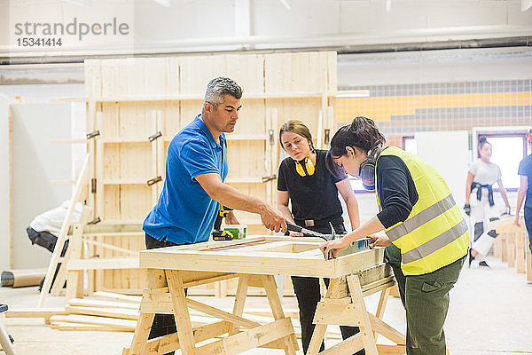 Junge weibliche Auszubildende lernen bei Workshop von männlichem Ausbilder