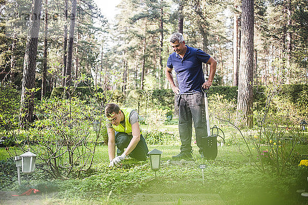 Männlicher Ausbilder beobachtet Auszubildenden beim Pflanzen gegen Bäume im Garten