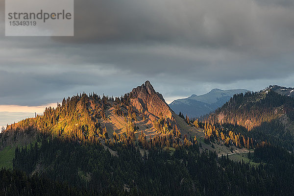 Abendlicht auf Berggipfeln  Blick vom Hurricane Ridge  Olympic National Park  UNESCO-Weltkulturerbe  Bundesstaat Washington  Vereinigte Staaten von Amerika  Nordamerika