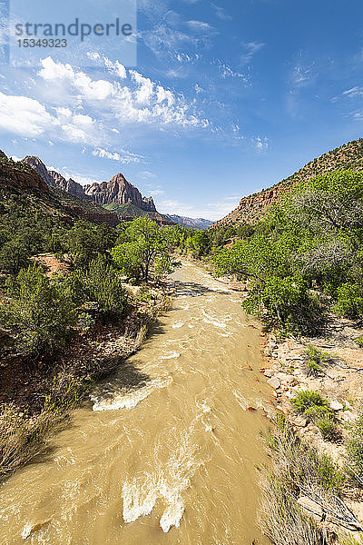 Blick auf den Watchman den Virgin River hinunter  Zion National Park  Utah  Vereinigte Staaten von Amerika  Nordamerika