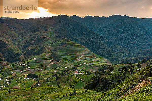 Agandi Eco Lodge (die Hütten)  Bwindi Impenetrable Forest National Park  UNESCO Weltkulturerbe  Uganda  Ostafrika  Afrika