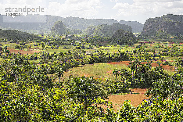 Blick auf das schöne Tal von Vinales  UNESCO-Weltkulturerbe  Kuba  Westindien  Karibik  Mittelamerika