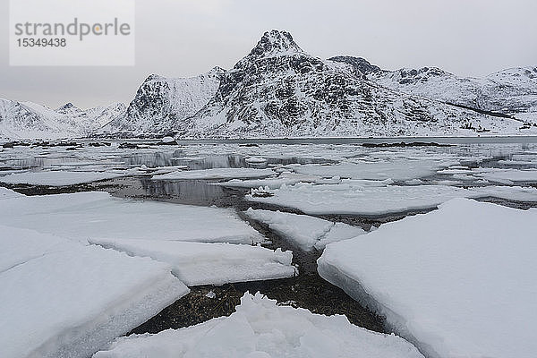 Gesprungenes Eis und schneebedeckte Berge  Lofoten  Nordland  Arktis  Norwegen  Europa