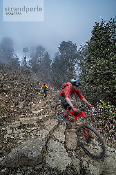 Mountainbikes fahren durch einen nebligen Wald in der Gosainkund-Region im Himalaya  Langtang-Region  Nepal  Asien