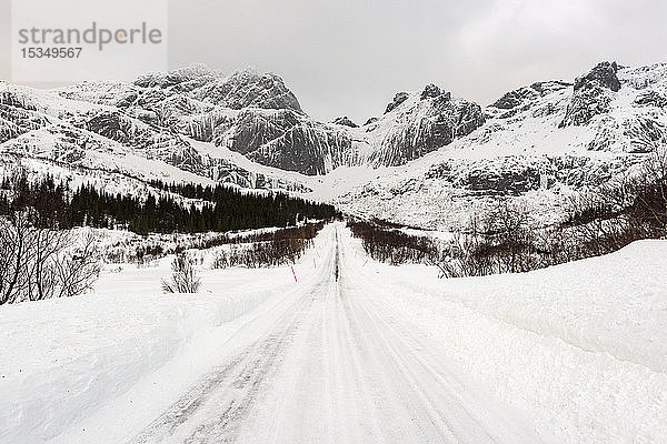 Schneebedeckte Straße unter arktischen Winterbedingungen  Lofoten  Nordland  Arktis  Norwegen  Europa