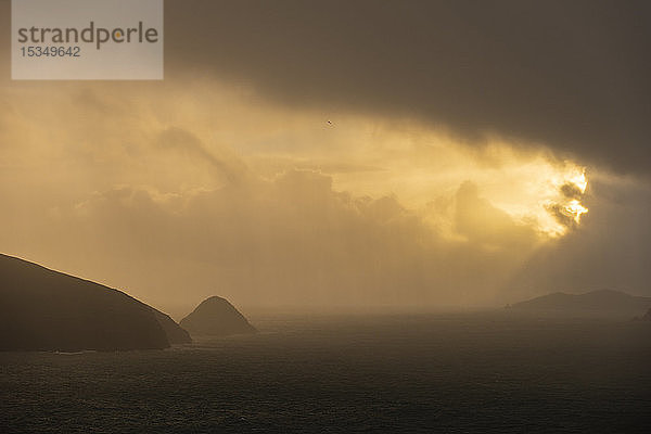 Sonnenaufgang über den Blasket Islands  Dingle-Halbinsel  County Kerry  Munster  Republik Irland  Europa