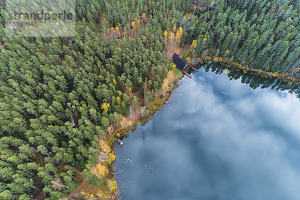Viitna-See im Herbst von oben  Laane-Viru  Estland  Europa