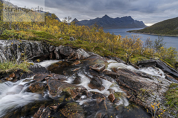 Wasserfall und Herbstfarben im Anderdalen-Nationalpark  Senja  Norwegen  Skandinavien  Europa
