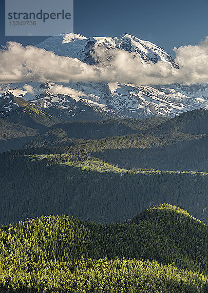 Blick auf Mount Rainier  Bundesstaat Washington  Vereinigte Staaten von Amerika  Nordamerika
