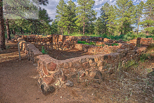 Elden Pueblo  Standort eines alten Sinagua-Dorfes  in Flagstaff  Arizona  Vereinigte Staaten von Amerika  Nordamerika