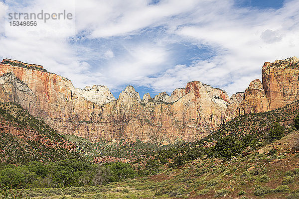 Aussichtspunkt am Canyon im Zion National Park  Utah  Vereinigte Staaten von Amerika  Nordamerika