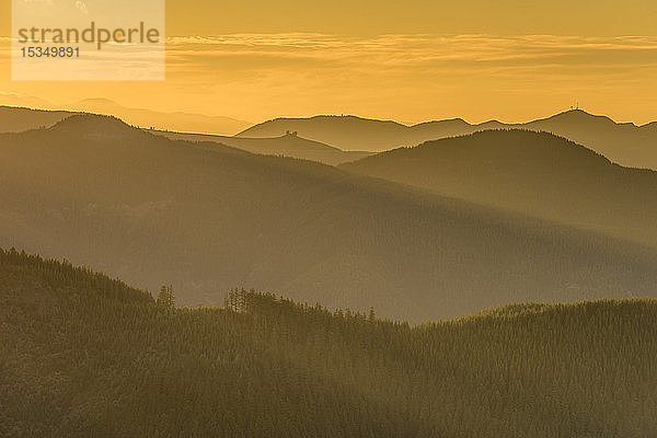 Berggipfel und Wald bei Sonnenuntergang  Staat Washington  Vereinigte Staaten von Amerika  Nordamerika