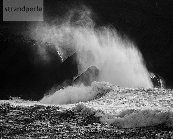 Wellen brechen gegen Felsen  Clogher Strand  Dingle Halbinsel  County Kerry  Munster  Republik Irland  Europa