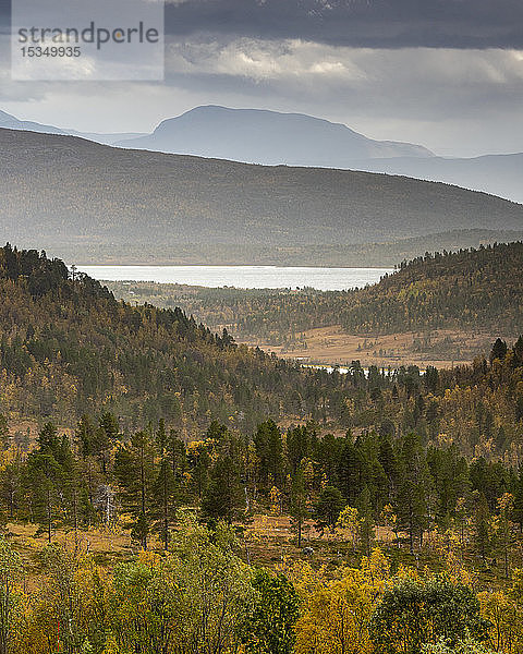 Blick über den Anderdalen-Nationalpark  Senja  Norwegen  Skandinavien  Europa