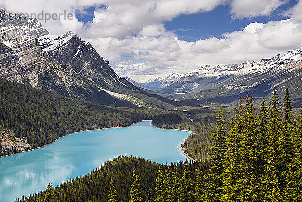 Peyto Lake  Banff National Park  UNESCO-Weltkulturerbe  Alberta  Kanada  Nordamerika