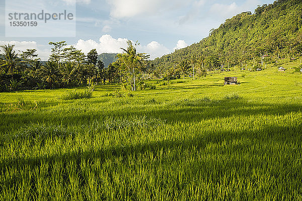Landschaft bei Sidemen  Bali  Indonesien  Südostasien  Asien