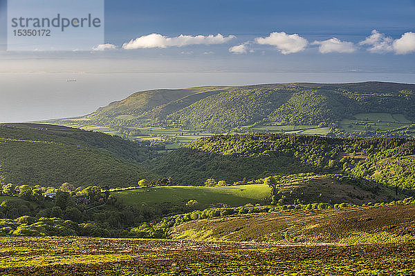 Blick vom Dunkery Hill im Frühling  Exmoor National Park  Somerset  England  Vereinigtes Königreich  Europa