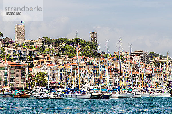 Hafen Le Vieux Port in Cannes  Alpes Maritimes  Côte d'Azur  Provence  Côte d'Azur  Frankreich  Mittelmeer  Europa