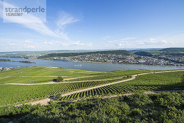 Blick auf den Rhein vom Niederwalddenkmal  UNESCO-Welterbe  Mittelrheintal  Deutschland  Europa