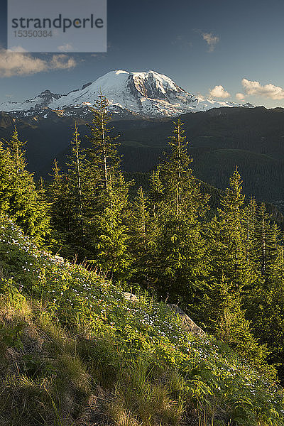 Blick auf Mount Rainier  Bundesstaat Washington  Vereinigte Staaten von Amerika  Nordamerika