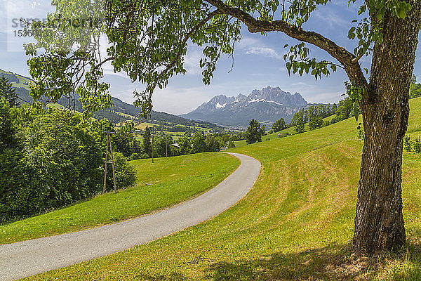 Blick auf einen Feldweg und den Gipfel der Ellmauer Halt bei St. Johann  Österreichische Alpen  Tirol  Österreich  Europa