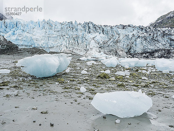 Gestrandetes Eis bei Ebbe vor dem Lamplugh Glacier  Glacier Bay National Park and Preserve  Alaska  Vereinigte Staaten von Amerika  Nordamerika