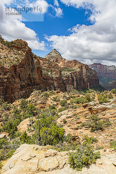 Aussichtspunkt am Canyon  Zion National Park  Utah  Vereinigte Staaten von Amerika  Nordamerika