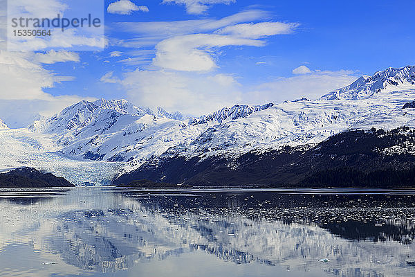 Harvard-Gletscher im College Fjord  Südost-Alaska  Vereinigte Staaten von Amerika  Nordamerika