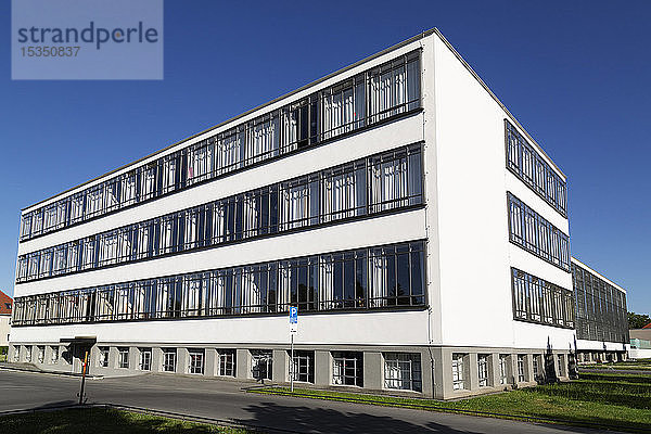 Das Bauhausgebäude  1926 von Walter Gropius entworfen  UNESCO-Welterbe  Dessau  Sachsen-Anhalt  Deutschland  Europa