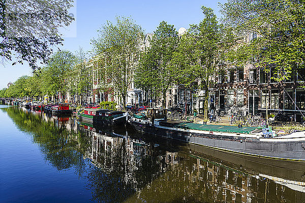 Alte Giebelhäuser  die sich in einer Gracht spiegeln  Amsterdam  Nordholland  Niederlande  Europa