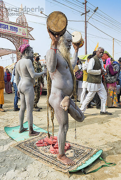 Sadhus bei einer Zeremonie  Allahabad Kumbh Mela  größte religiöse Versammlung  Allahabad  Uttar Pradesh  Indien  Asien