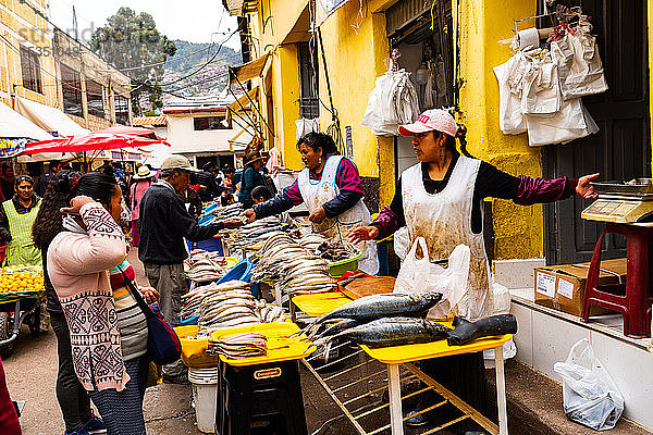 Fischhändlerinnen verkaufen an ihren Ständen in der Nähe des San Pedro-Marktes  Cusco  UNESCO-Weltkulturerbe  Heiliges Tal  Peru  Südamerika