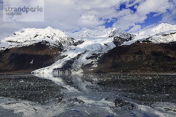Gletscher im College Fjord  Südost-Alaska  Vereinigte Staaten von Amerika  Nordamerika