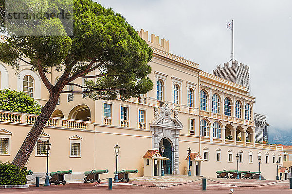 Fürstenpalast von Monaco in Monaco  Côte d'Azur  Côte d'Azur  Mittelmeer  Frankreich  Europa