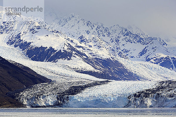 Harvard-Gletscher im College Fjord  Südost-Alaska  Vereinigte Staaten von Amerika  Nordamerika