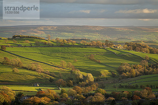 Hügellandschaft bei Malham im Herbst  Yorkshire Dales National Park  Yorkshire  England  Vereinigtes Königreich  Europa