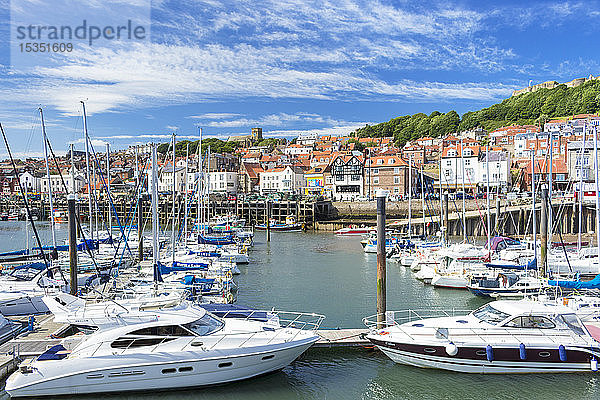 Hafen von Scarborough und Jachthafen in South Bay  Scarborough  North Yorkshire  England  Vereinigtes Königreich  Europa