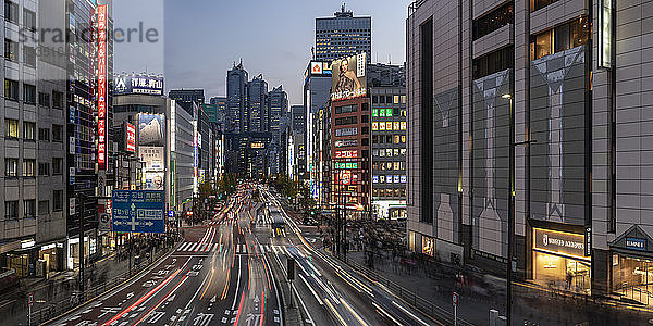 Panoramablick auf das Shinjuku-Viertel in Tokio bei Nacht  Japan  Asien