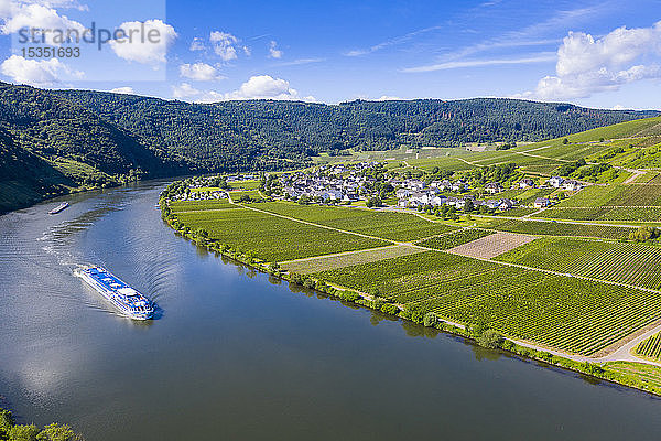 Flusskreuzfahrtschiff auf der Mosel bei Mehring  Moseltal  Rheinland-Pfalz  Deutschland  Europa