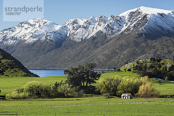 Ländliche Szene am Lake Wanaka mit schneebedeckten Bergen im Hintergrund  Wanaka  Otago  Südinsel  Neuseeland  Pazifik