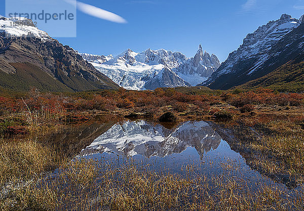 Herbstliche Farben im Nationalpark Los Glaciares mit Spiegelungen des Cerro Torro  UNESCO-Weltkulturerbe  Provinz Santa Cruz  Argentinien  Südamerika
