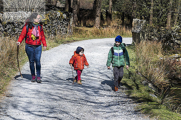 Mutter und Söhne erkunden den Nationalpark  Llanaber  Gwynedd  Vereinigtes Königreich