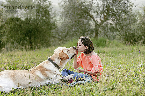 Mädchen sitzt von Angesicht zu Angesicht mit Labradorhund in Feldlandschaft  Citta della Pieve  Umbrien  Italien