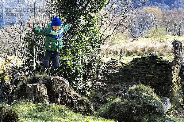 Junge erkundet Nationalpark  Llanaber  Gwynedd  Vereinigtes Königreich
