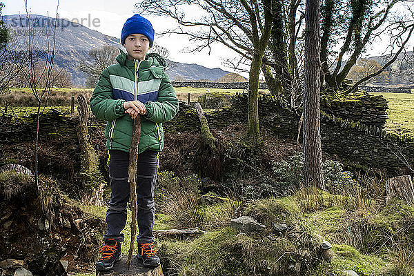 Junge erkundet Nationalpark  Llanaber  Gwynedd  Vereinigtes Königreich