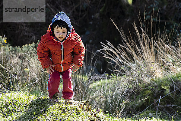 Junge erkundet Nationalpark  Llanaber  Gwynedd  Vereinigtes Königreich