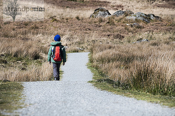 Junge erkundet Nationalpark  Llanaber  Gwynedd  Vereinigtes Königreich