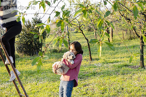 Mädchen hält einen süßen Golden Retriever-Welpen in der Hand  während ihre Freundin auf eine Baumleiter im Obstgarten klettert  Scandicci  Toskana  Italien