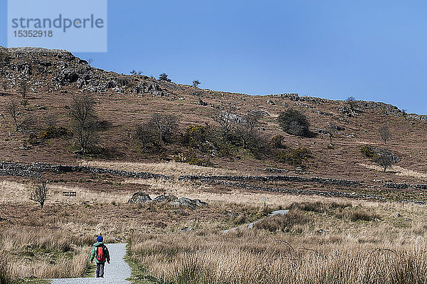 Junge erkundet Nationalpark  Llanaber  Gwynedd  Vereinigtes Königreich